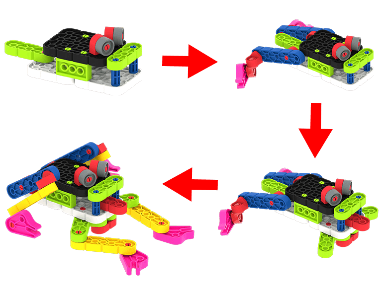 Fun Frogs