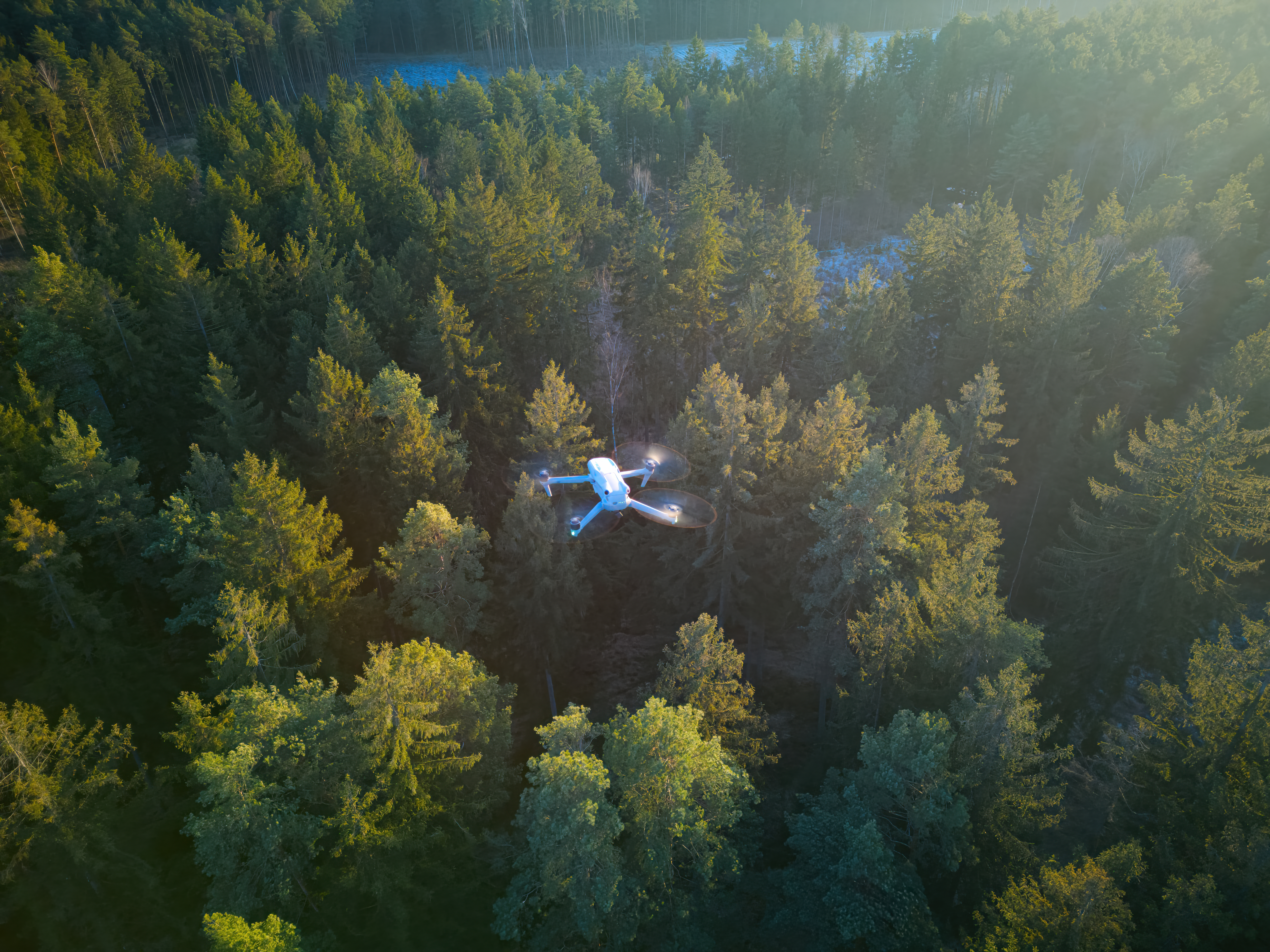 A drone flies high above a forest surveying the landscape and forest health.