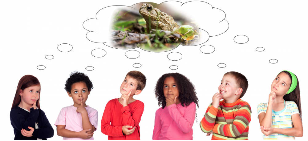 A row of six children with thoughtful expressions on their faces and a shared thought bubble above their heads. In the thought bubble they are picturing the frog sitting on a stick surrounded by greenery in its natural habitat.