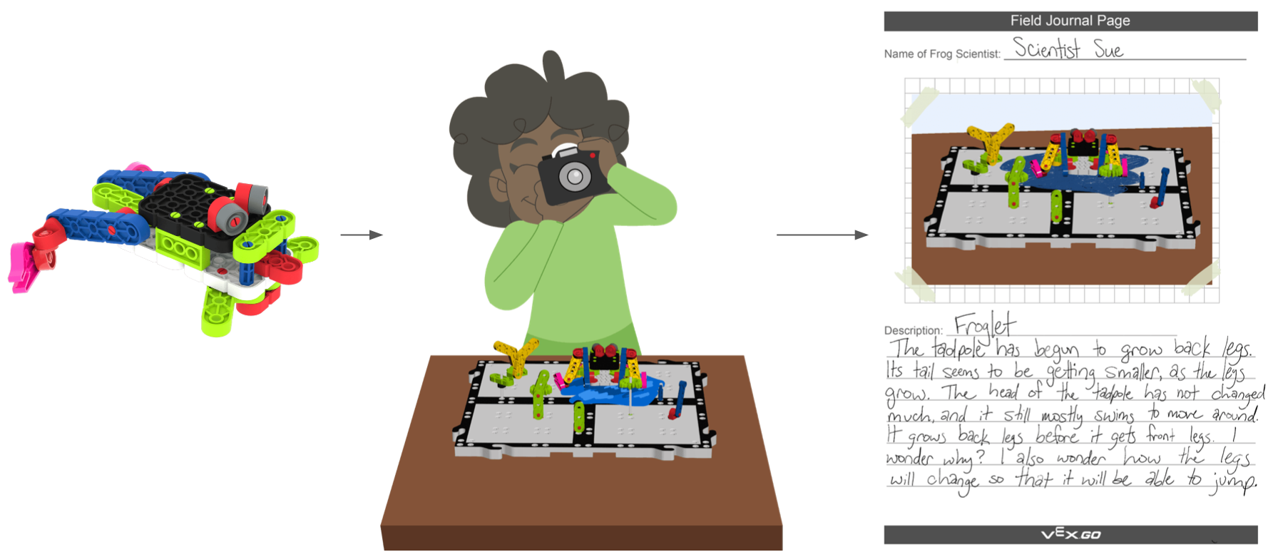 Each phase of the documentation is shown in an image with arrows connected from one to the next. To the left, the froglet build is shown, representing the build phase, in the center a student is photographing the build on the habitat on a table to show photograph, and to the right is the example Field Journal page representing describing.