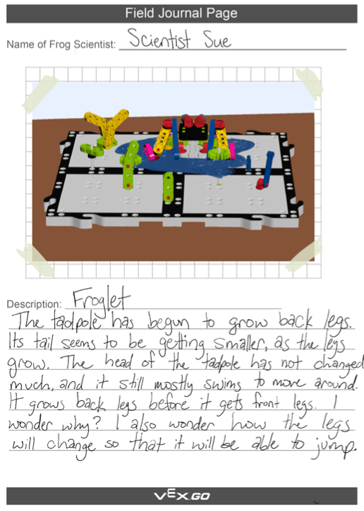 An example Field Journal page completed by the Frog Scientist named 'Scientist Sue'. At the top a photograph is taped in showing the froglet build on the GO Tile habitat. The description below reads: 'Froglet'. The tadpole has begun to grow back legs. Its tail seems to be getting smaller, as the legs grow. The head of the tadpole has not changed much, and it still mostly swims to move around. It grows back legs first before it gets front legs. I wonder why? I also wonder how the legs will change so that it will be able to jump.'