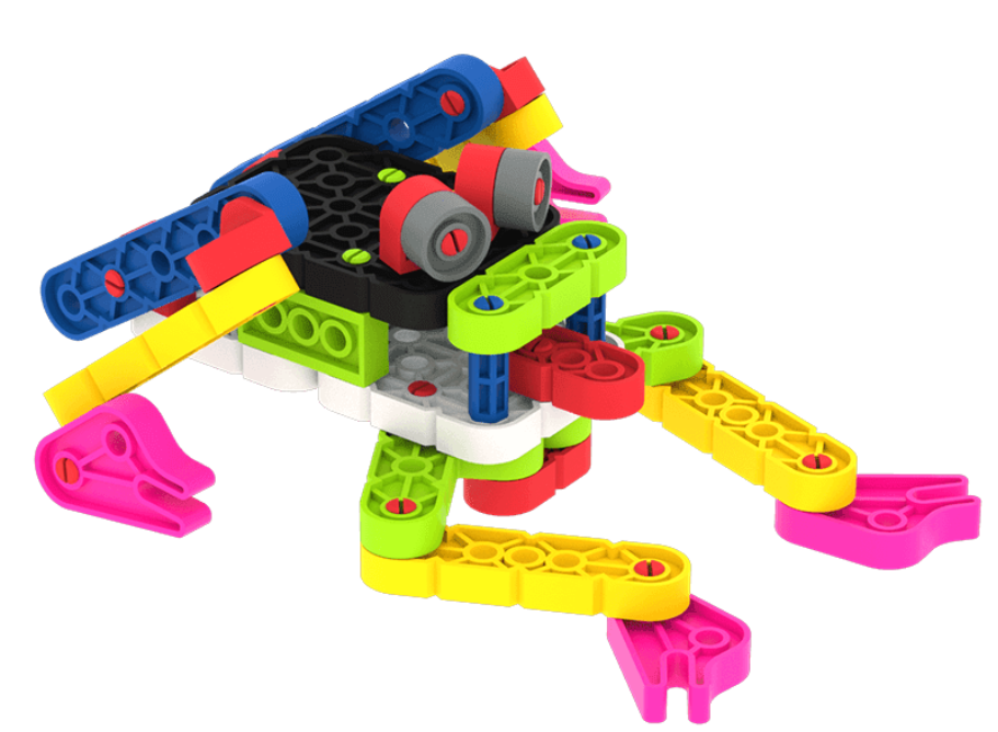 Adult Frog Build from the Frog Life Cycle build.