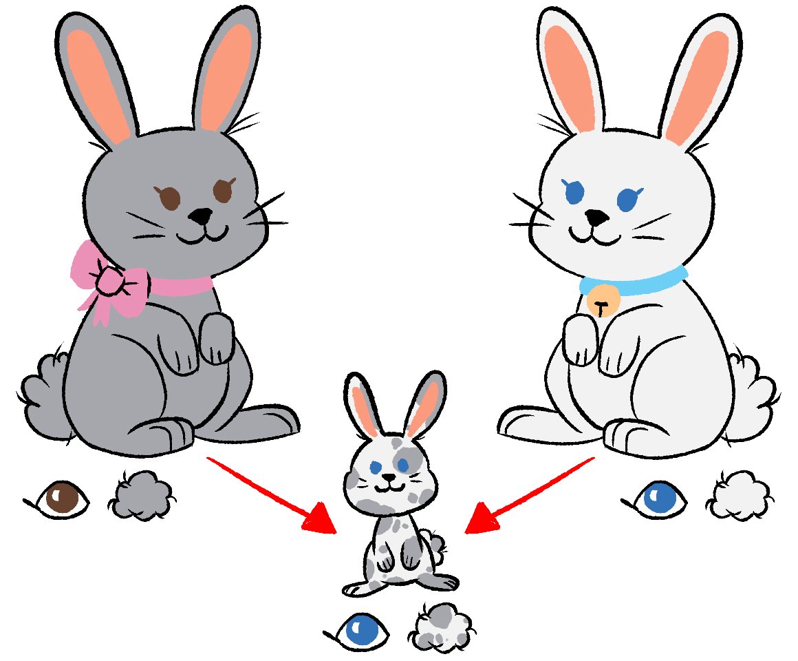 Inheriting Traits in a Bunny Family