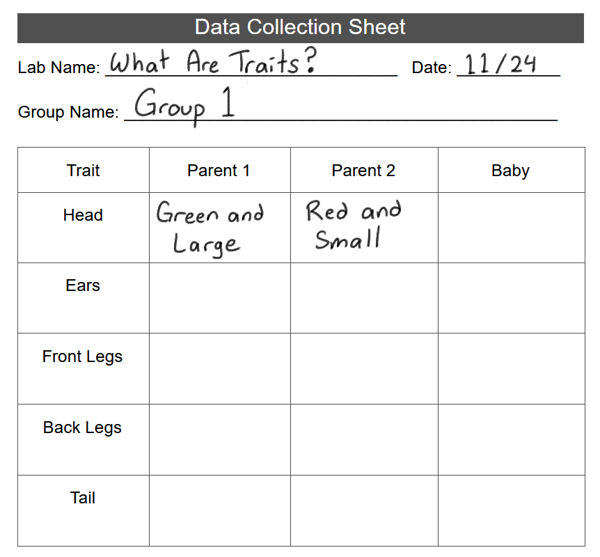 আংশিকভাবে পূরণ করা তথ্য সংগ্রহ শিট। উপরে, ল্যাবের নামটি পূরণ করা হয়েছে, "What are traits"পড়া হচ্ছে, তারিখ এবং গ্রুপের নাম সহ। নীচে একটি ডেটা টেবিল রয়েছে যার নীচে বাম থেকে ডানে, বৈশিষ্ট্য, পিতামাতা 1, পিতামাতা 2, শিশু লেবেলযুক্ত চারটি কলাম রয়েছে। নীচে পাঁচটি সারি আছে, বাম থেকে ডানে পড়া, মাথা, কান, সামনের পা, পিছনের পা, লেজ। প্রথম সারিতে তথ্য ভরা আছে, যেখানে দেখানো হয়েছে যে পিতামাতা ১ এর মাথা সবুজ এবং বড়, এবং পিতামাতা ২ এর মাথা লাল এবং ছোট।