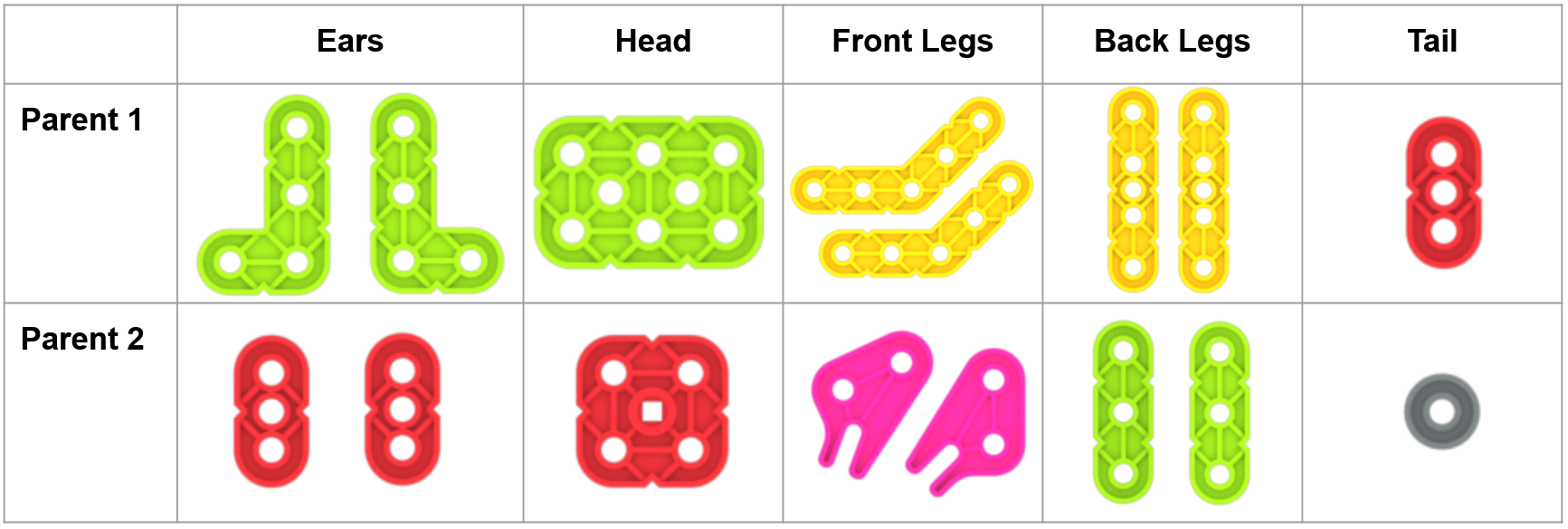 Tavşan ebeveyni 1 ve tavşan ebeveyni 2'yi oluşturmak için kullanılan farklı GO parçalarını gösteren Özellik Parçası Değişim Tablosu. Beş sütun, soldan sağa doğru tavşanın kulak, baş, ön ayak, arka ayak ve kuyruk kısımlarıyla etiketlenmiştir. Satırlar ebeveyn 1 ve ebeveyn 2 olarak etiketlenmiştir. Ana 1. sırada soldan sağa doğru parçalar; 2 adet yeşil açılı kiriş, 1 adet yeşil büyük kiriş, 2 adet sarı açılı kiriş, 2 adet sarı kiriş, 1 adet kırmızı kiriştir. Ebeveyn 2 için parçalar; iki adet kırmızı ışın, bir adet büyük kırmızı ışın, 2 adet yarıklı ışın, 2 adet yeşil ışın ve bir adet bağlayıcıdır.