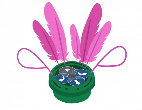 Flamingos in the Wild